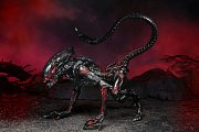 Aliens Action Figure Night Cougar Alien (Kenner Tribute) 23 cm