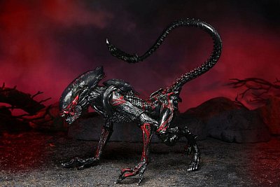 Aliens Action Figure Night Cougar Alien (Kenner Tribute) 23 cm