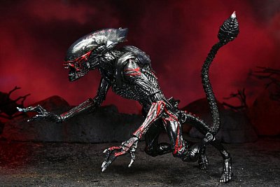 Aliens Action Figure Night Cougar Alien (Kenner Tribute) 23 cm