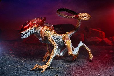 Aliens Action Figure Panther Alien (Kenner Tribute) 23 cm