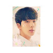BTS Fine Art Print Love Yourself: Jin 46 x 61 cm - bez rámu