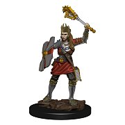 D&D Icons of the Realms Premium miniaturní předbarvené pouzdro pro lidskou duchovní (6)