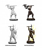 D&D Nolzur's Marvelous Miniatures Nebarvené miniatury Ženský barbar Goliáš Kufřík (6)