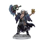 Sada miniaturního modelu Dungeons & Dragons Frameworks Human Warlock Muž