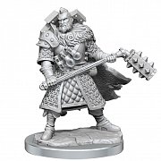Sada miniaturního modelu Dungeons & Dragons Frameworks Human Fighter Muž