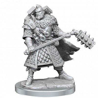 Sada miniaturního modelu Dungeons & Dragons Frameworks Human Fighter Muž