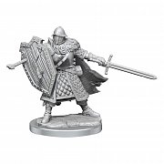 Sada miniaturního modelu Dungeons & Dragons Frameworks Human Fighter Muž