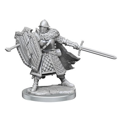 Sada miniaturního modelu Dungeons & Dragons Frameworks Human Fighter Muž