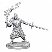 Sada miniaturního modelu Dungeons & Dragons Frameworks Human Fighter Muž