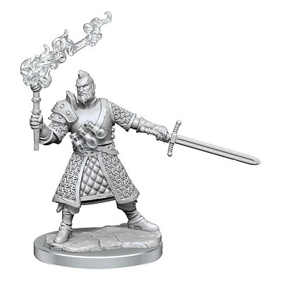 Sada miniaturního modelu Dungeons & Dragons Frameworks Human Fighter Muž