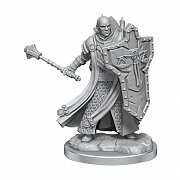 Sada miniaturního modelu Dungeons & Dragons Frameworks Lidský duchovní muž