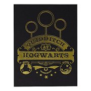 Harry Potter XL Premium Pin Badge Oversized Snitch (pozlacený)