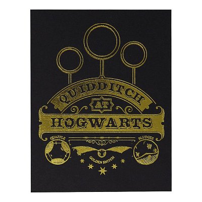 Harry Potter XL Premium Pin Badge Oversized Snitch (pozlacený)
