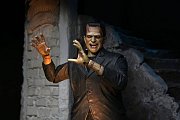 Sběratelská akční figurka Universal Monsters Ultimate Frankenstein's Monster (barevné) 18 cm
