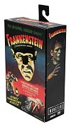 Sběratelská akční figurka Universal Monsters Ultimate Frankenstein's Monster (barevné) 18 cm