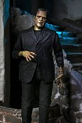 Sběratelská akční figurka Universal Monsters Ultimate Frankenstein's Monster (barevné) 18 cm