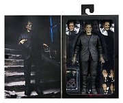Sběratelská akční figurka Universal Monsters Ultimate Frankenstein's Monster (barevné) 18 cm