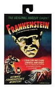Sběratelská akční figurka Universal Monsters Ultimate Frankenstein's Monster (barevné) 18 cm
