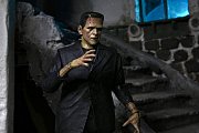 Sběratelská akční figurka Universal Monsters Ultimate Frankenstein's Monster (barevné) 18 cm