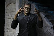Sběratelská akční figurka Universal Monsters Ultimate Frankenstein's Monster (barevné) 18 cm