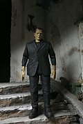Sběratelská akční figurka Universal Monsters Ultimate Frankenstein's Monster (barevné) 18 cm