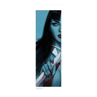 Vampirella Umělecký tisk Vampirella & Red Sonja: Vampirella 71 x 30 cm - bez rámu