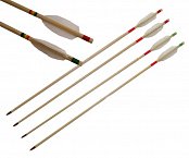 Šíp lazecký dřevěný 65cm